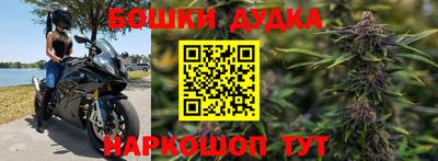 СК Пугачёв