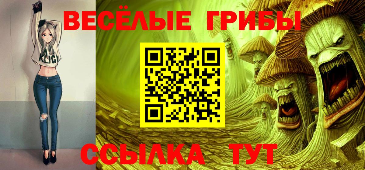 Псилоцибиновые грибы GOLDEN TEACHER Санкт-Петербург