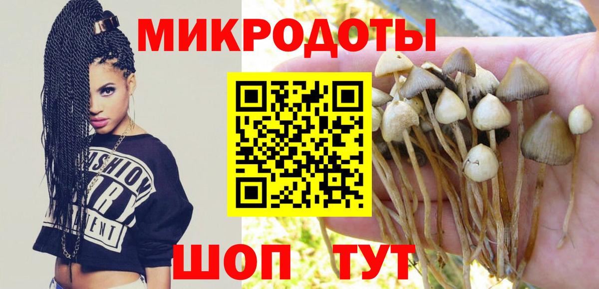 Санкт-Петербург  Галлюциногенные грибы Psilocybine cubensis  Псилоцибиновые грибы Magic Shrooms  купить наркотик  Вход с VPN 